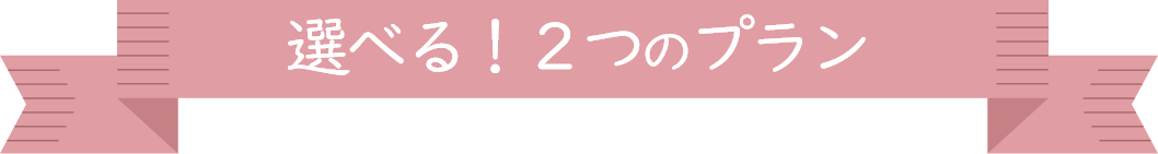 選べる！２つのプラン